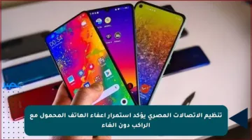 تنظيم الاتصالات المصري يؤكد استمرار إعفاء الهاتف المحمول مع الراكب دون إلغاء